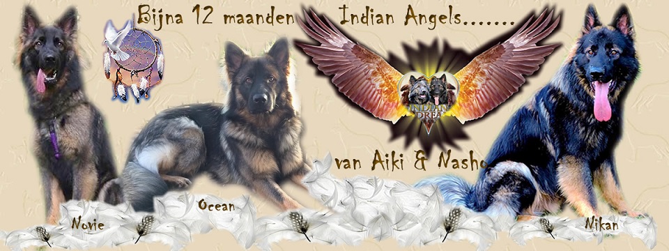 Indian Angels van Aiki & Nasho inmiddels 12 maanden, wat een beren zijn de heren